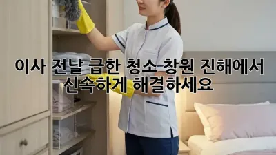 이사 전날 급한 청소? 창원 진해에서 신속하게 해결하세요!