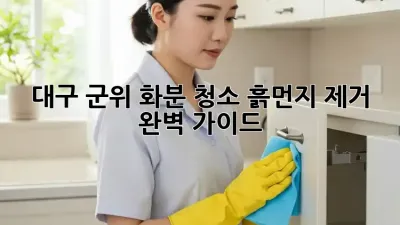 대구 군위 화분 청소, 흙먼지 제거 완벽 가이드!